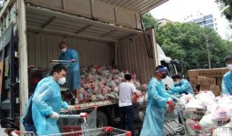 南京家乐福员工最新爆料,揭秘超市内部惊人内幕