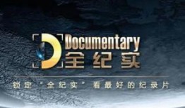 全纪实频道在线观看,实时在线观看，见证历史瞬间